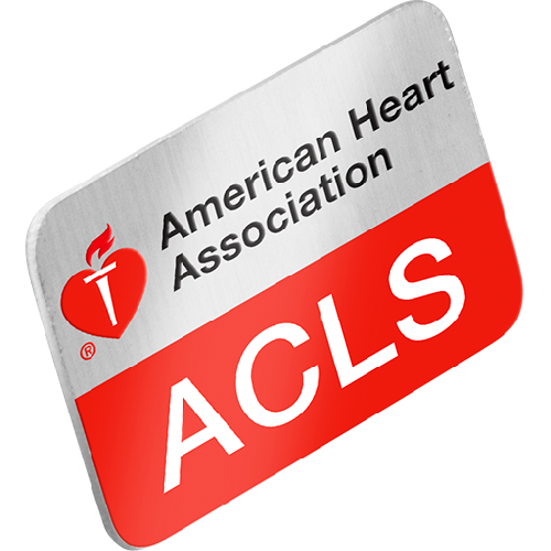 ACLS Press / ACLS Lapel Pin