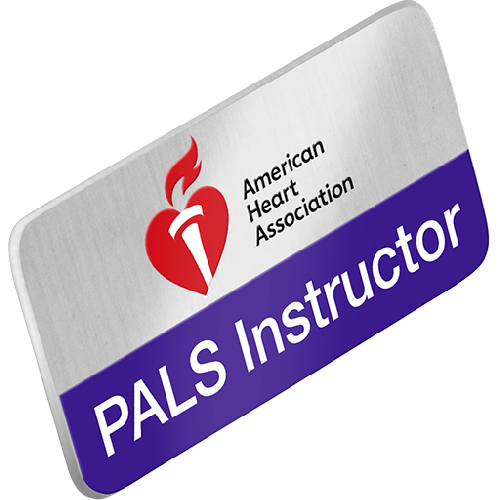 ACLS Press / PALS Instructor Lapel Pin