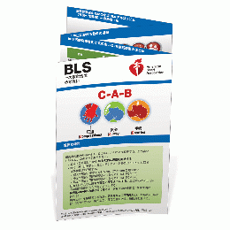 BLSリファレンスカード AHAガイドライン2025準拠